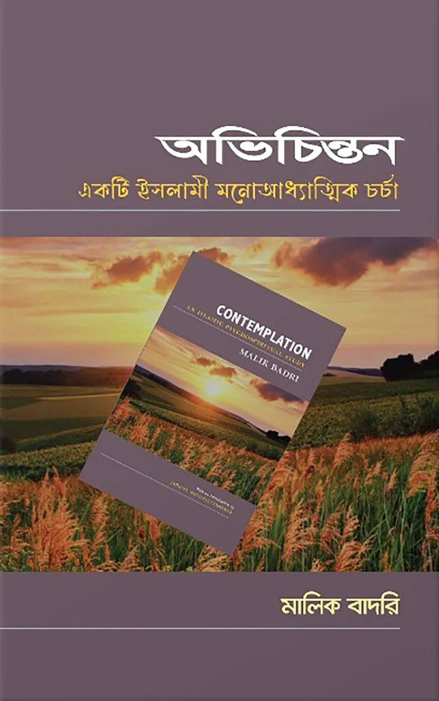 অভিচিন্তনঃ অনুভবের দৃশ্যময়তা