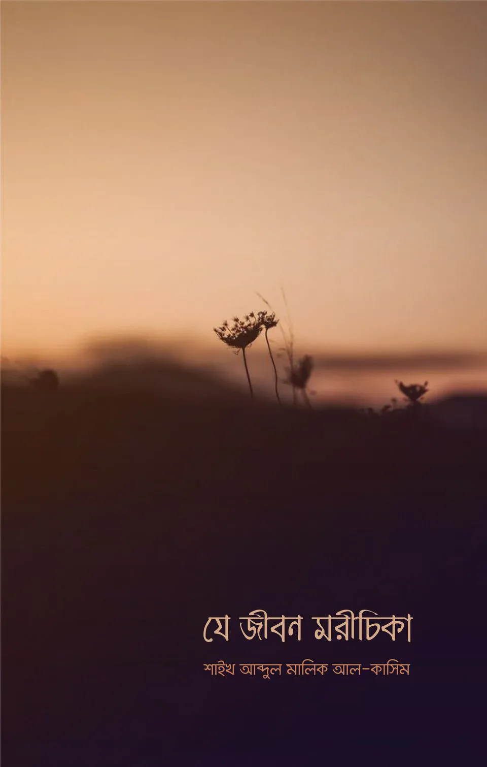 যে জীবন মরীচিকা