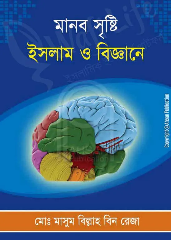 মানব সৃষ্টি:  ইসলাম ও বিজ্ঞানে