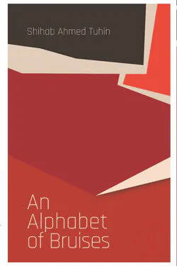 An Alphabet of Bruises