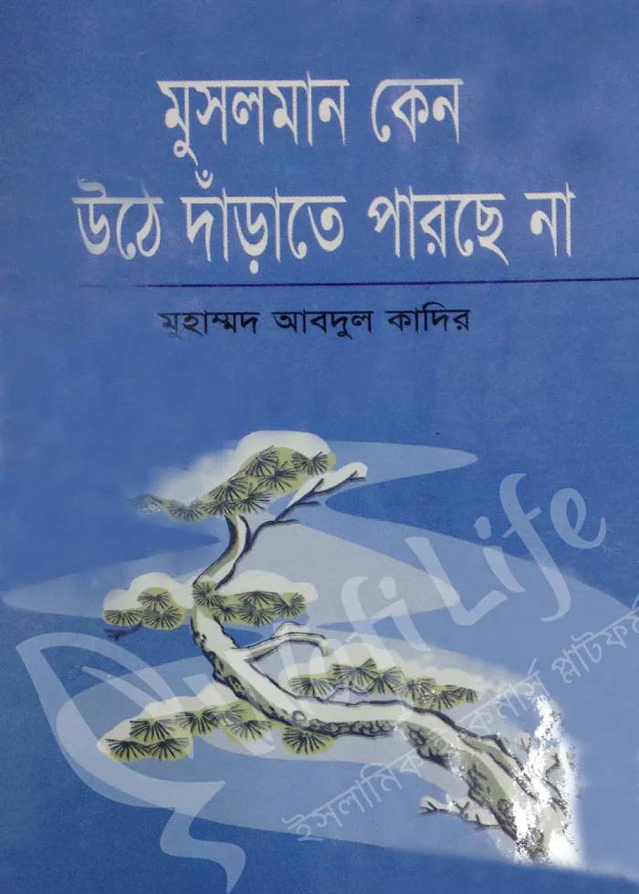 মুসলমান কেন উঠে দাঁড়াতে পারছে না